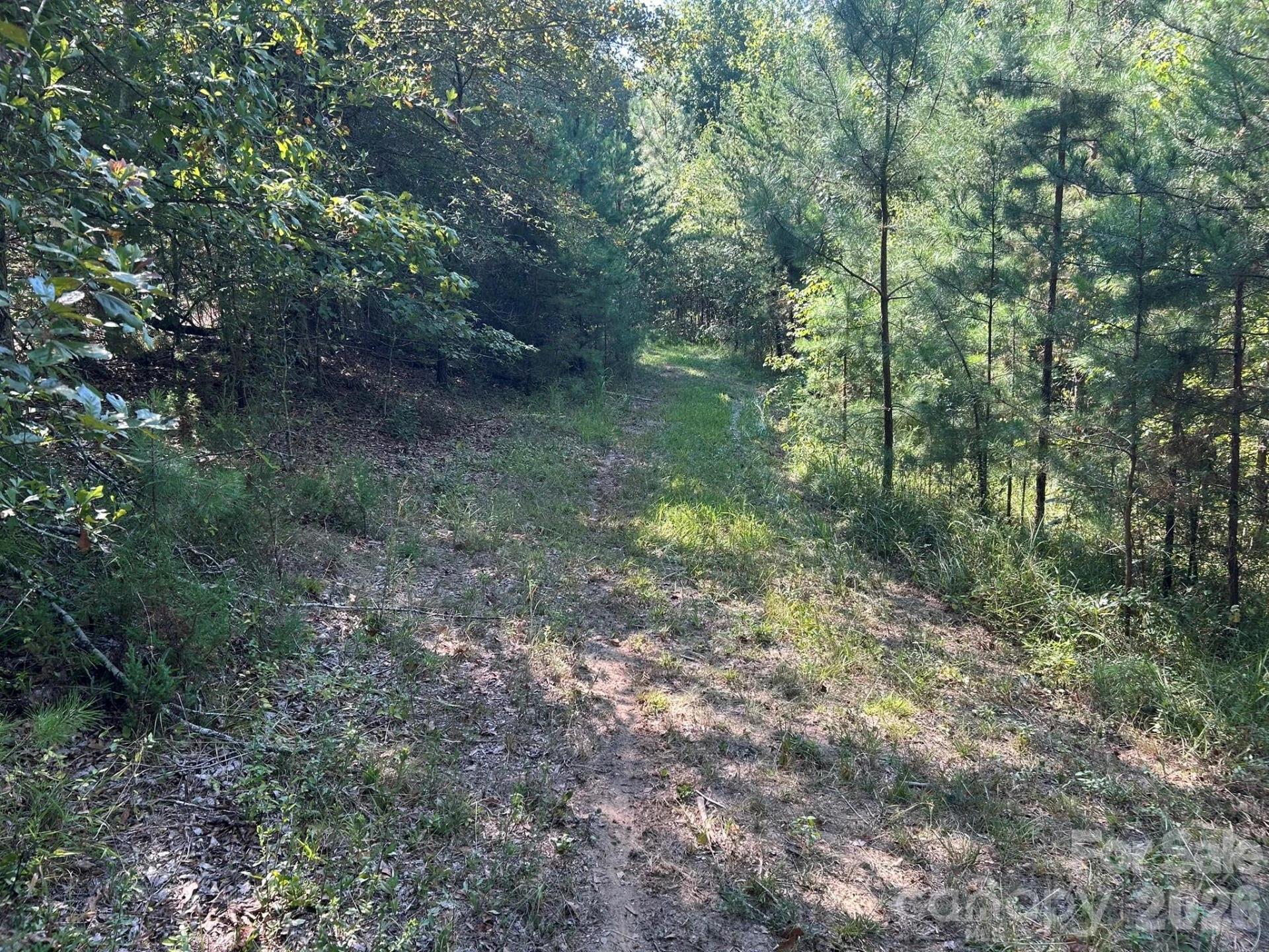 00 Island Ford Road - Photo 21