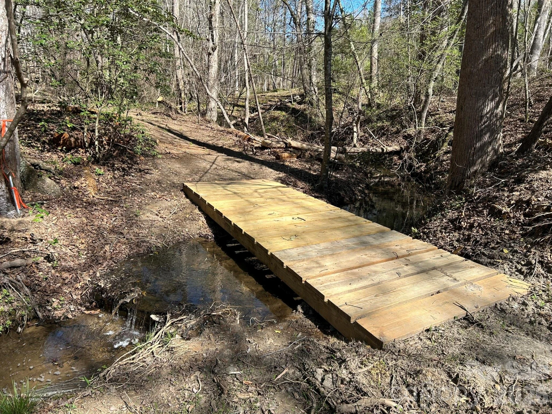 00 Island Ford Road - Photo 22