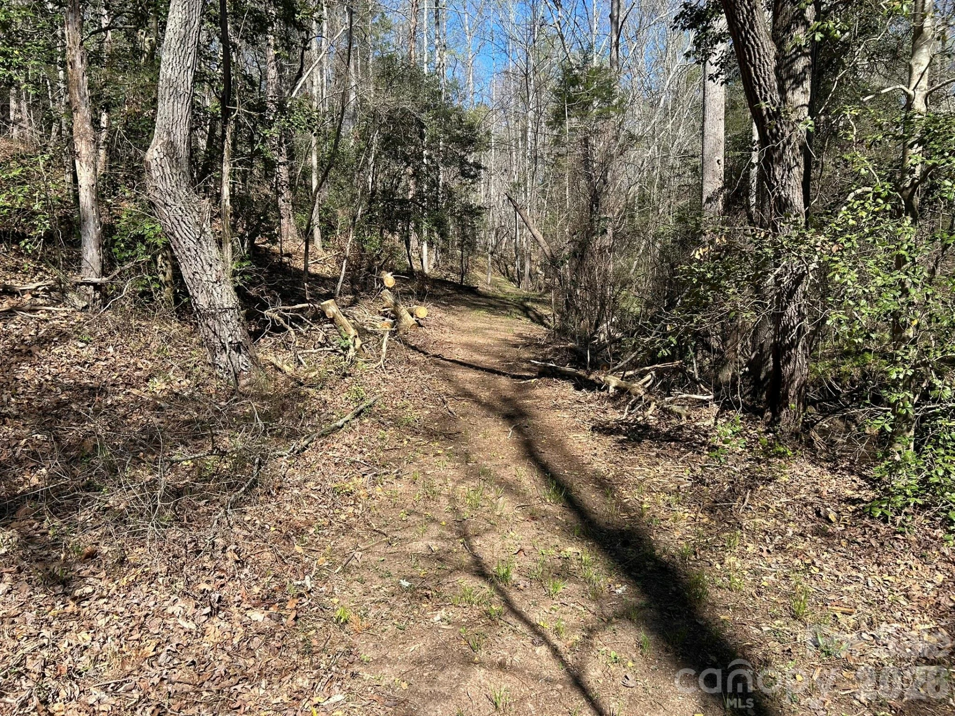 00 Island Ford Road - Photo 23