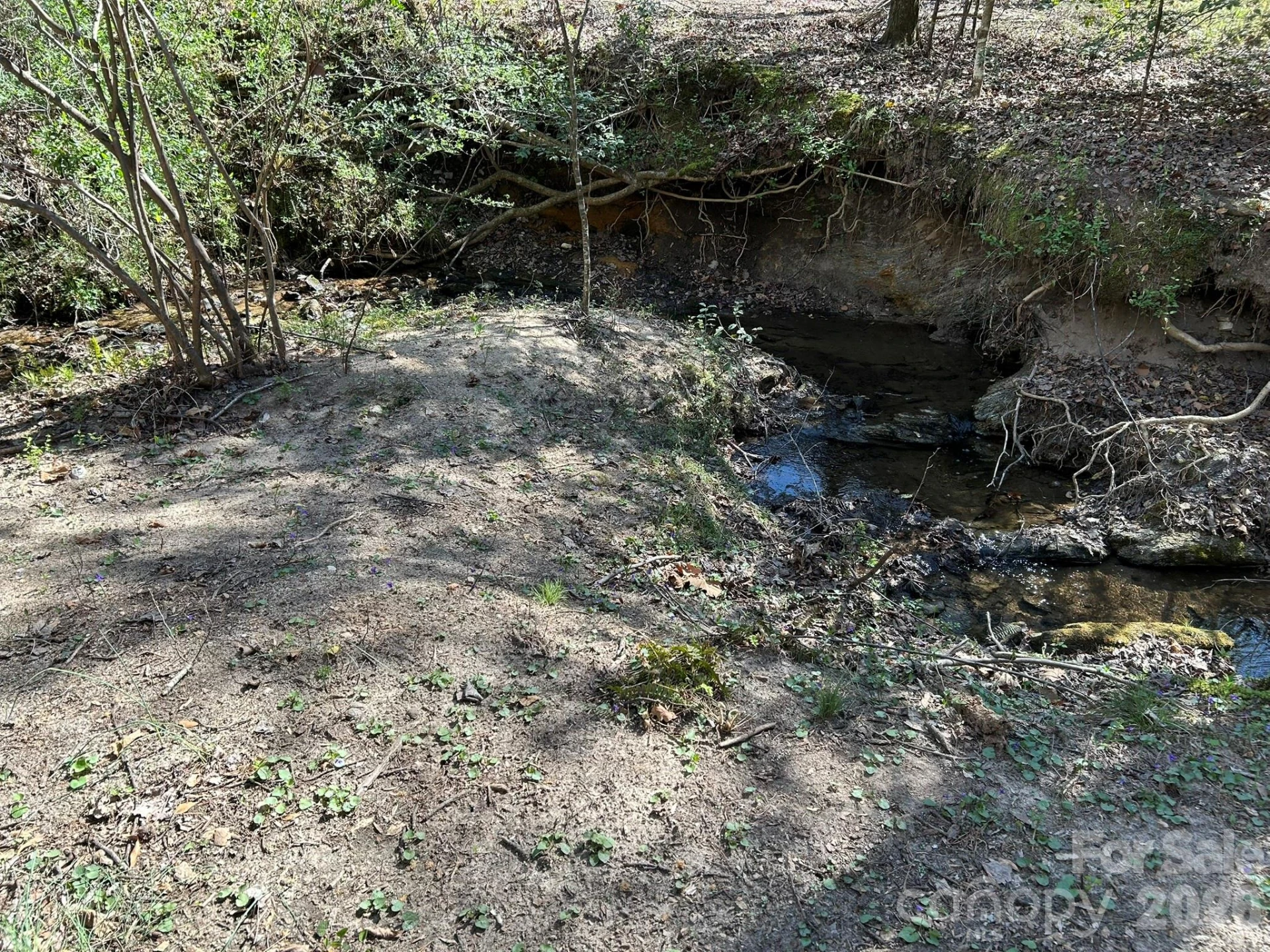 00 Island Ford Road - Photo 25