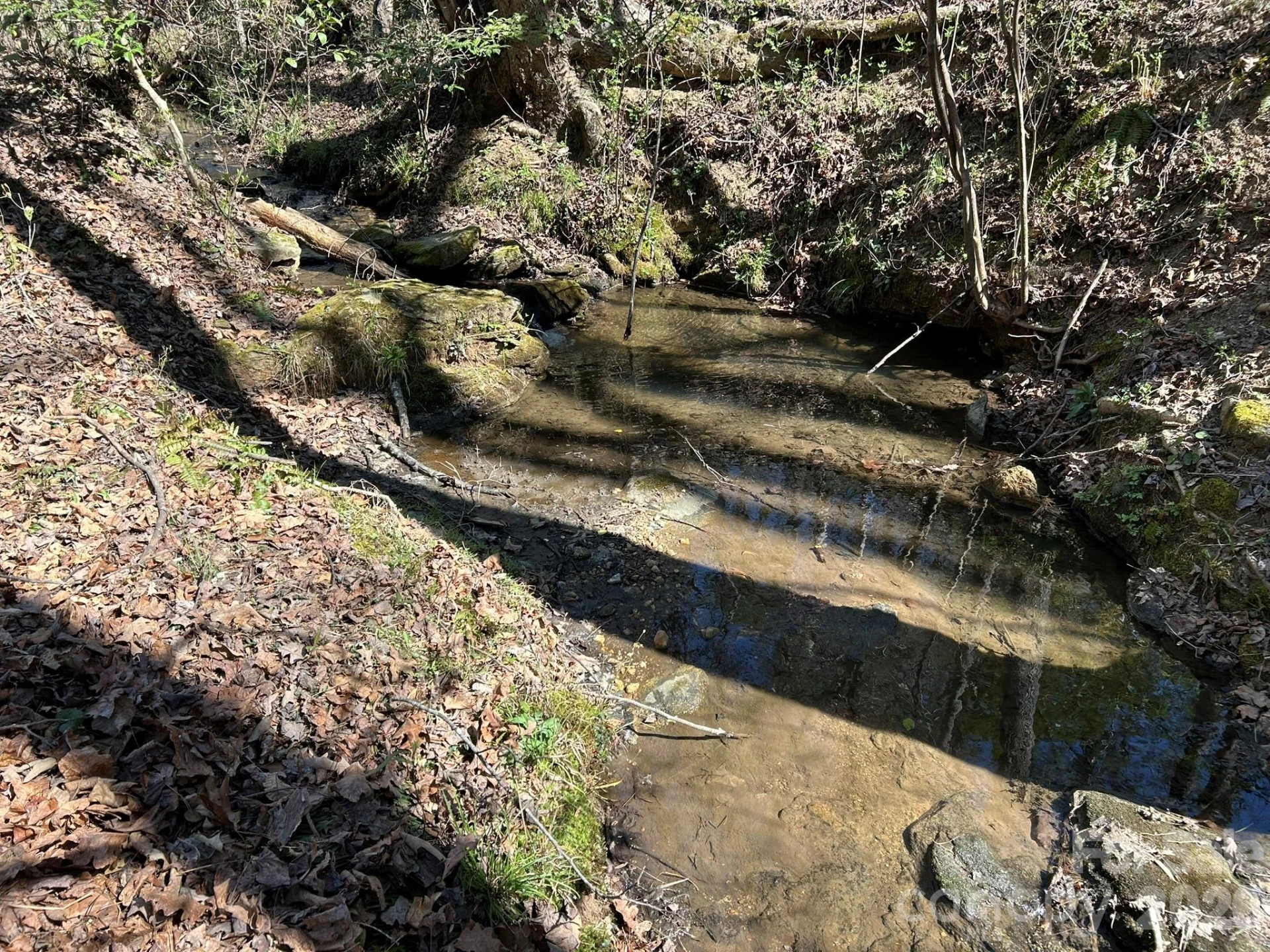 00 Island Ford Road - Photo 27