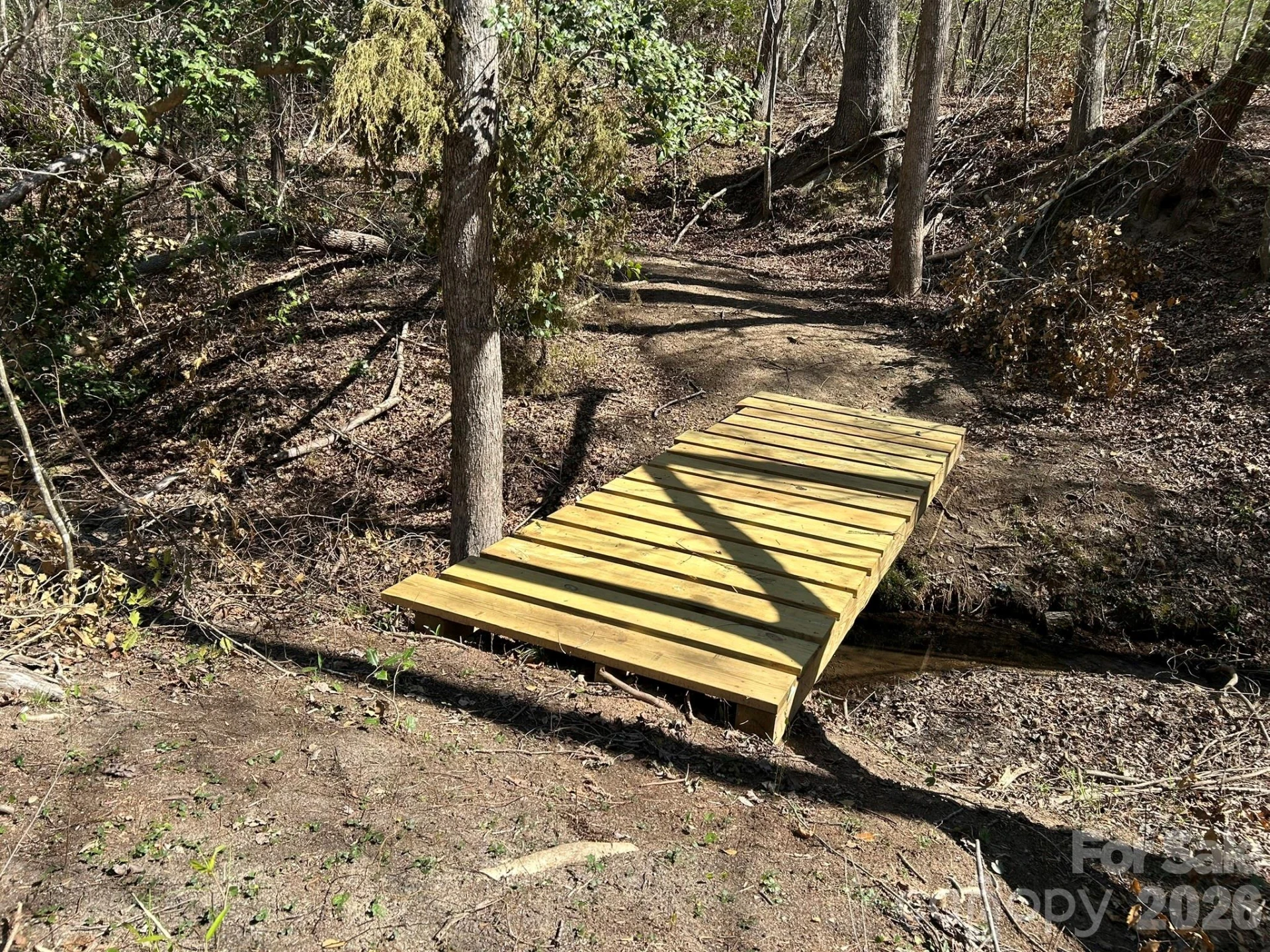 00 Island Ford Road - Photo 28