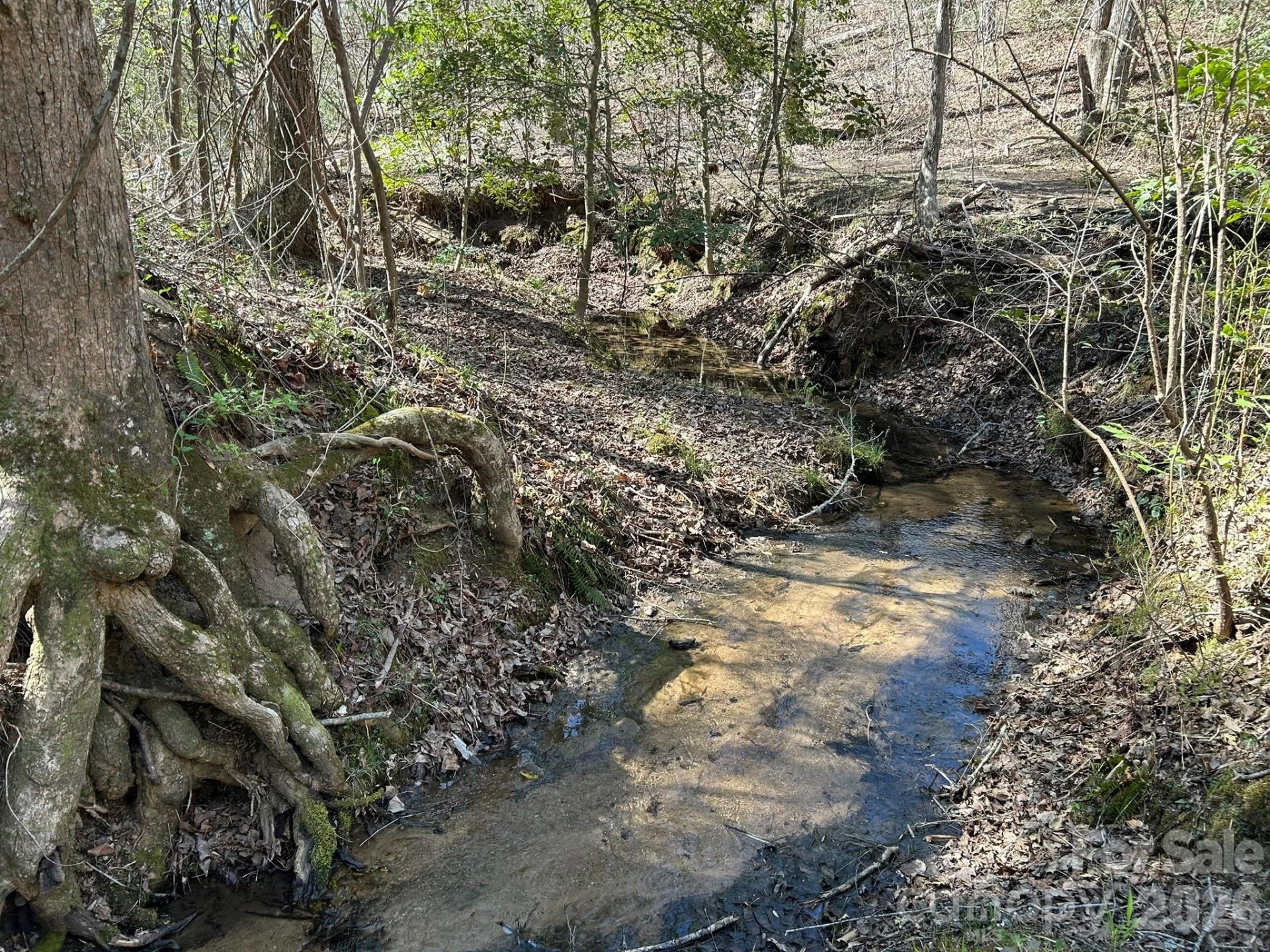 00 Island Ford Road - Photo 29