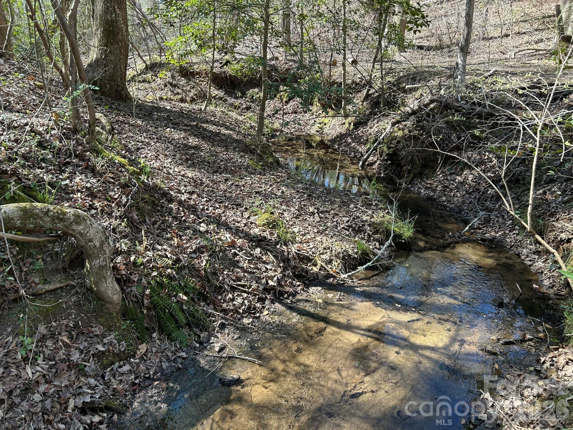00 Island Ford Road - Photo 30