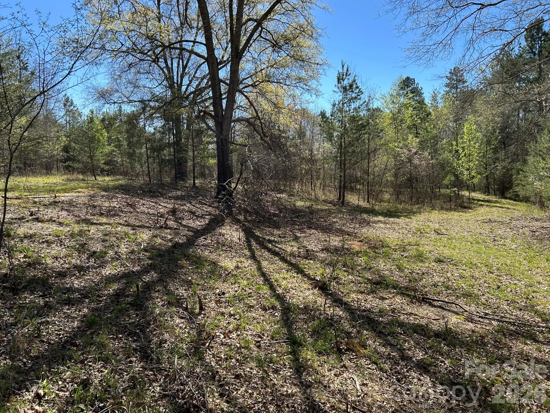 00 Island Ford Road - Photo 32