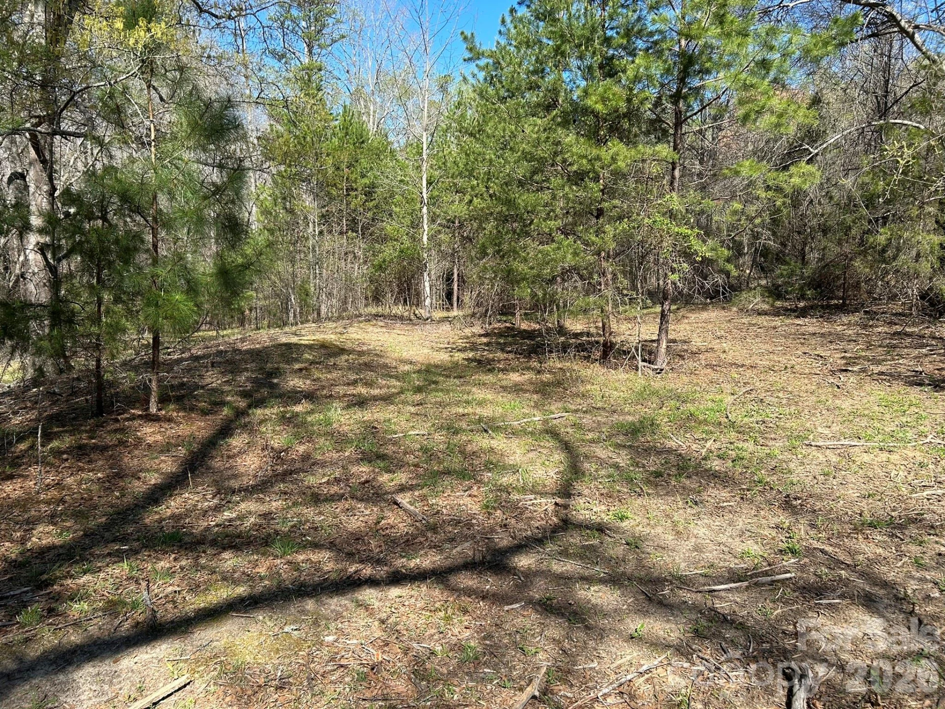 00 Island Ford Road - Photo 33