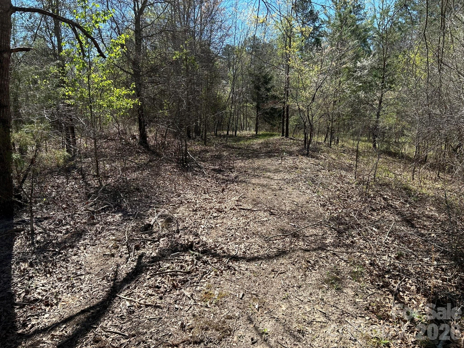 00 Island Ford Road - Photo 34