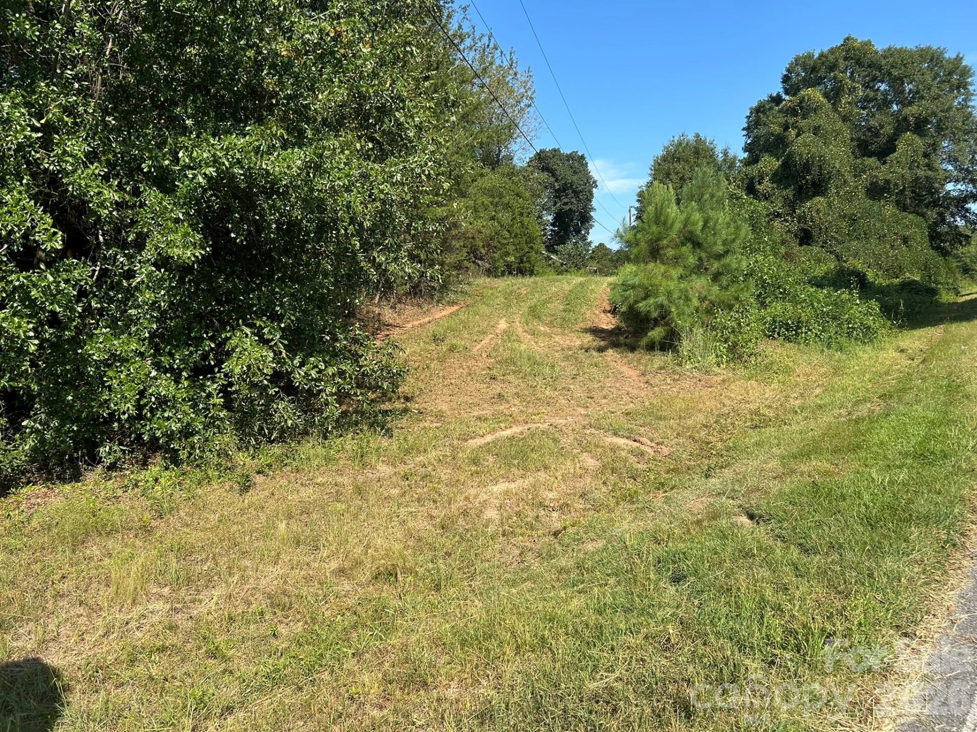 00 Island Ford Road - Photo 37
