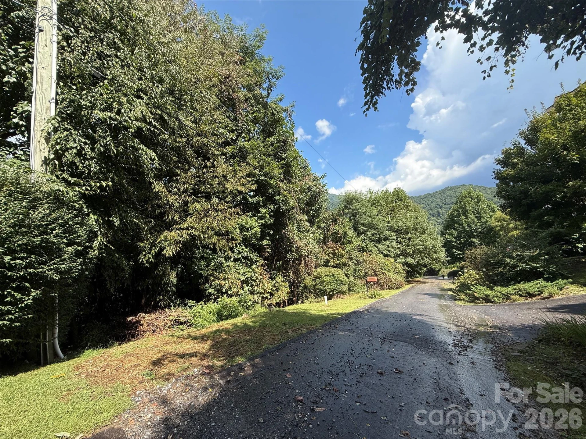 10 Lewis Lane #10 - Photo 2