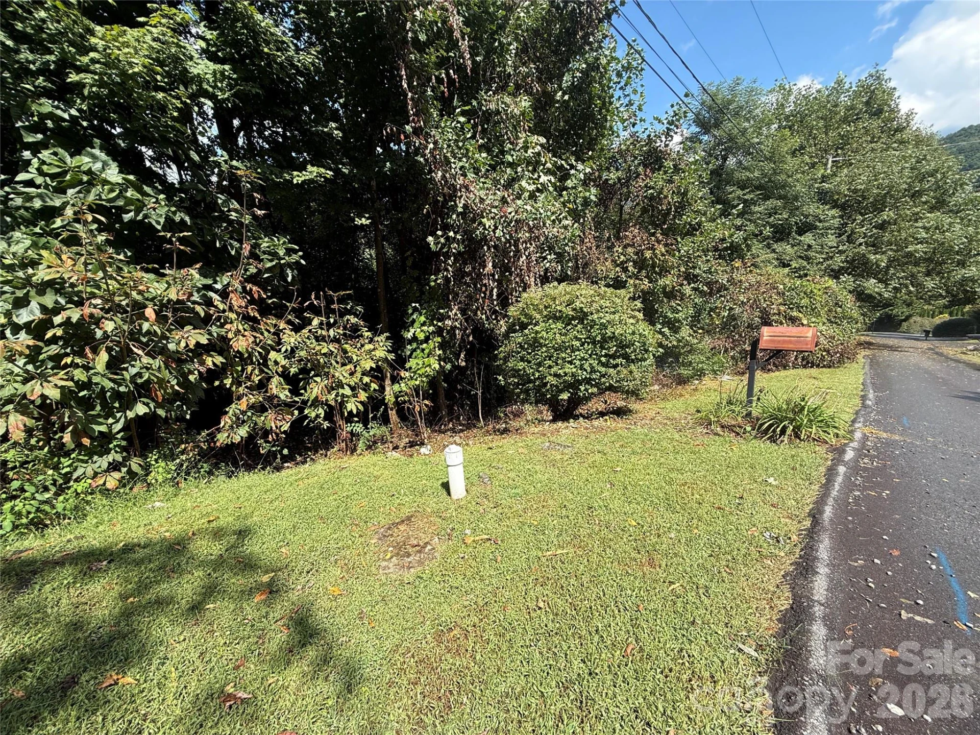 10 Lewis Lane #10 - Photo 3