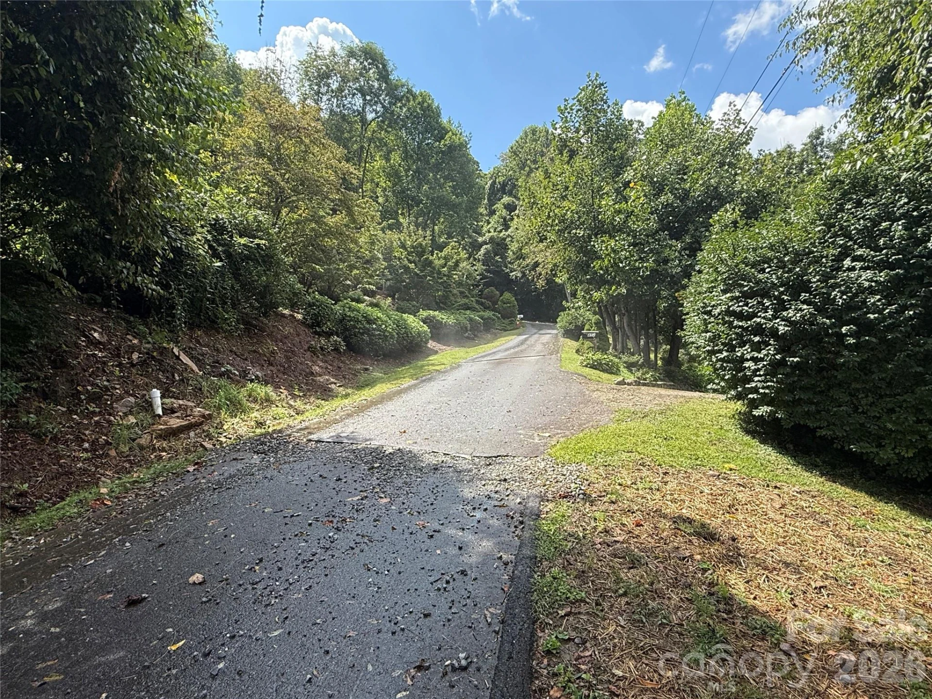 10 Lewis Lane #10 - Photo 4