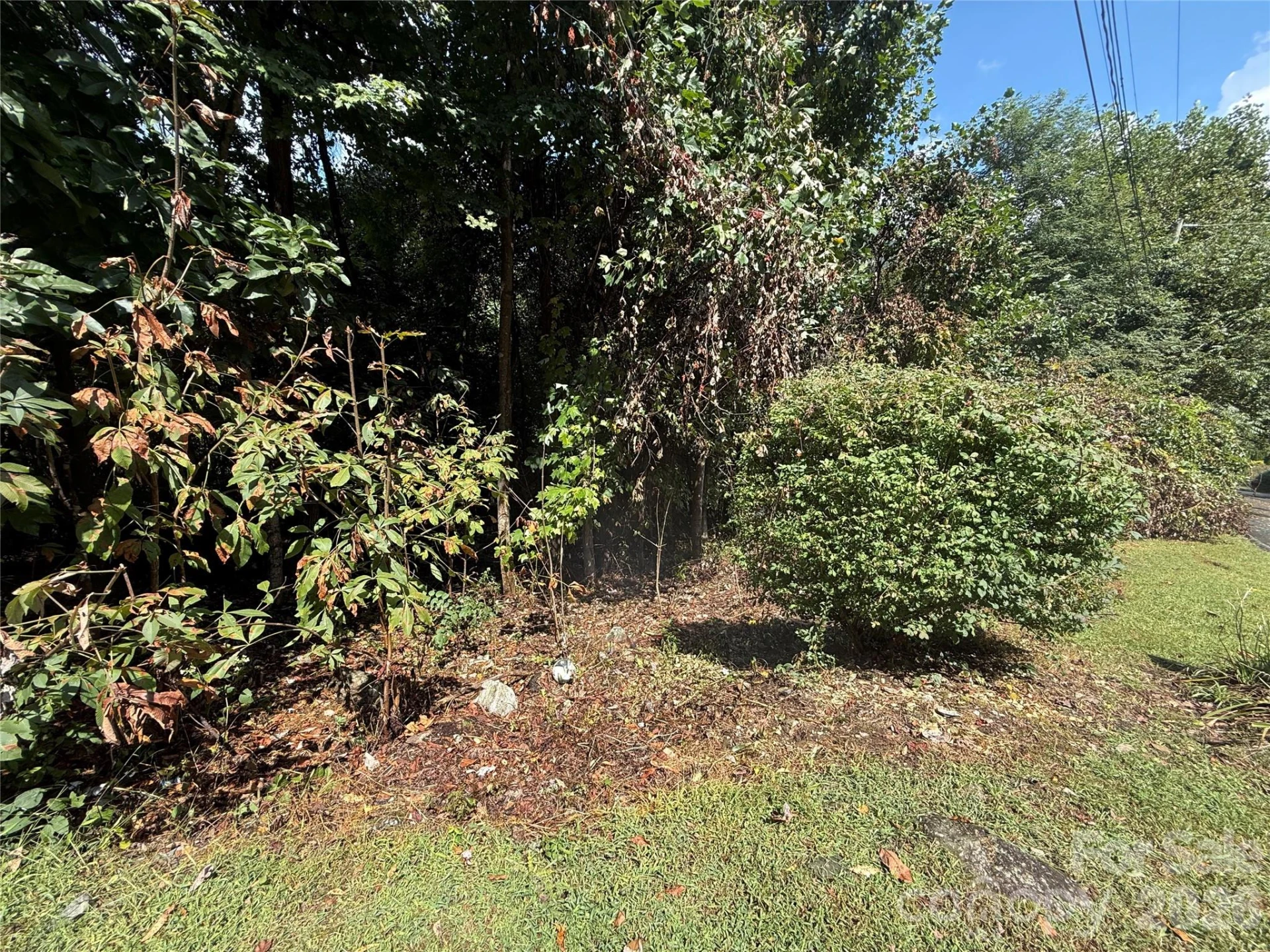 10 Lewis Lane #10 - Photo 7