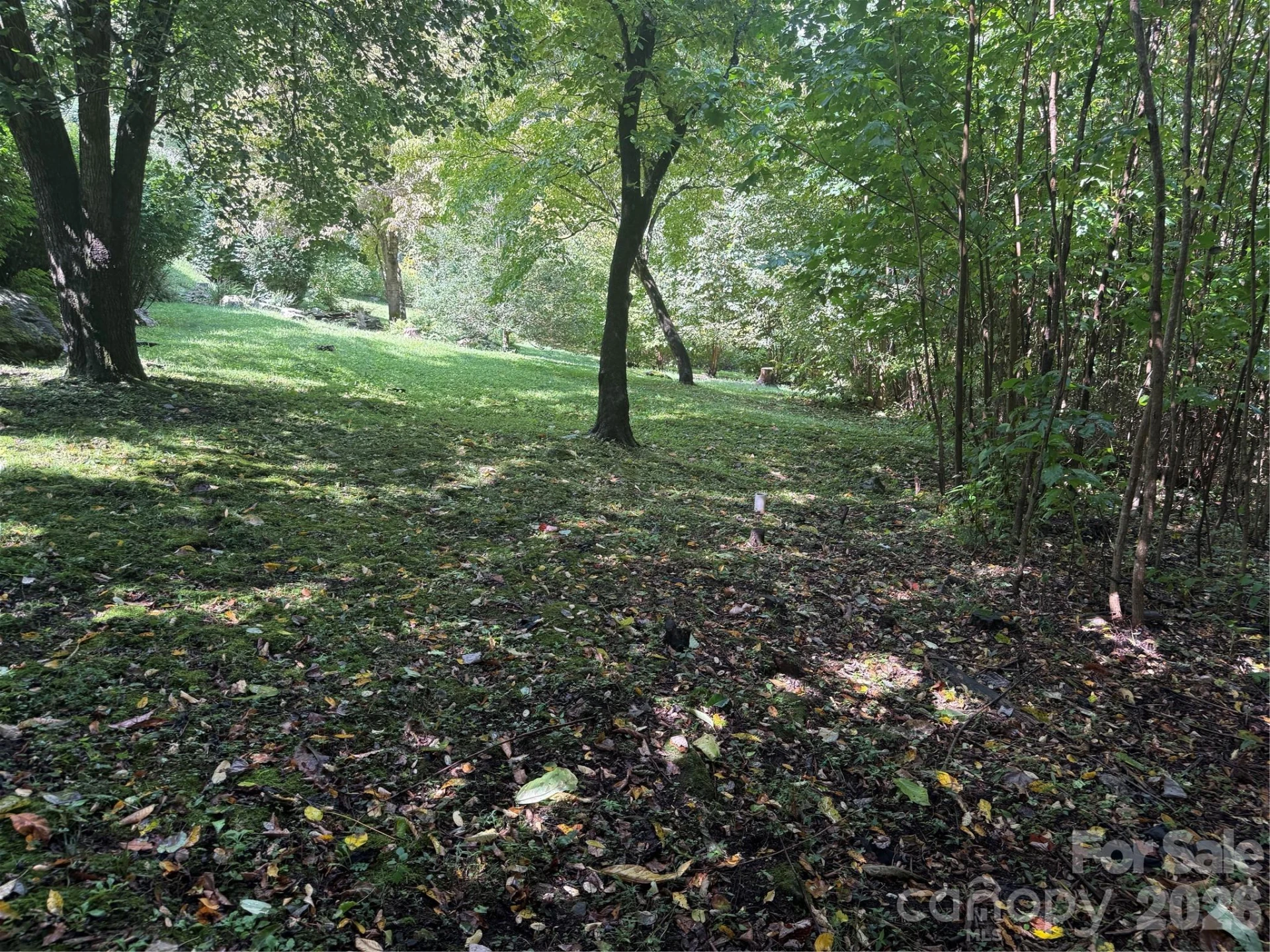 10 Lewis Lane #10 - Photo 14