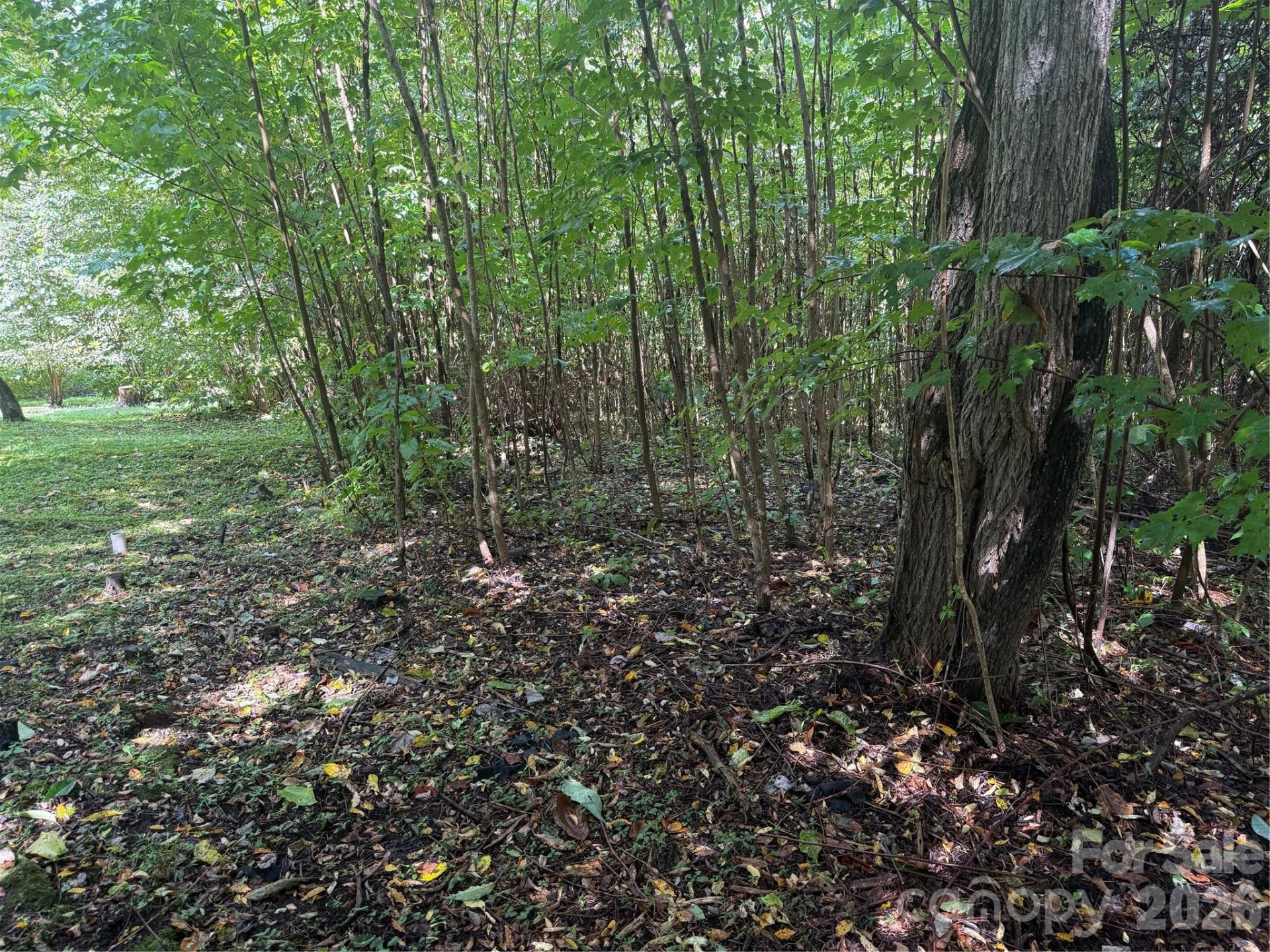 10 Lewis Lane #10 - Photo 15