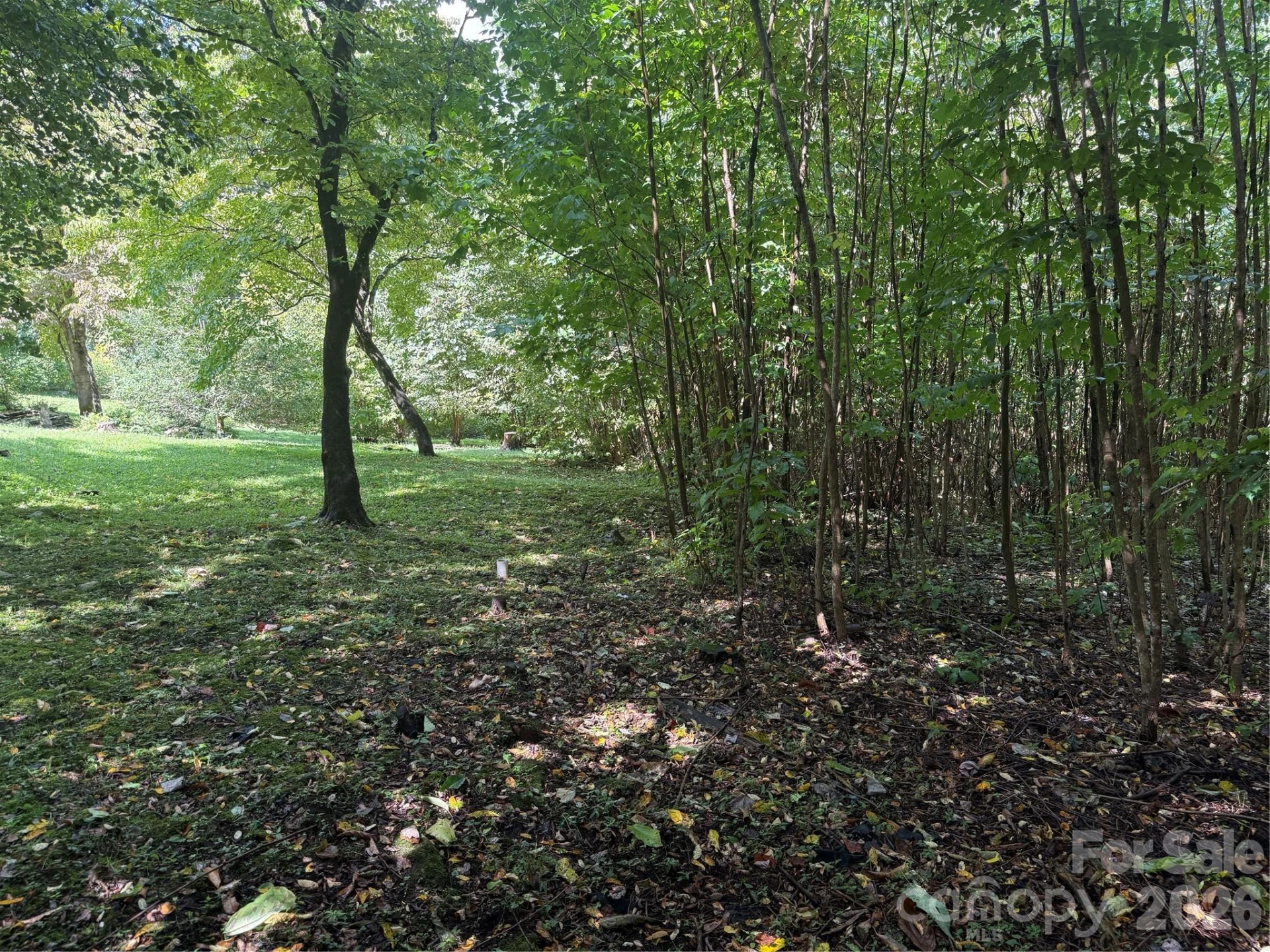10 Lewis Lane #10 - Photo 16