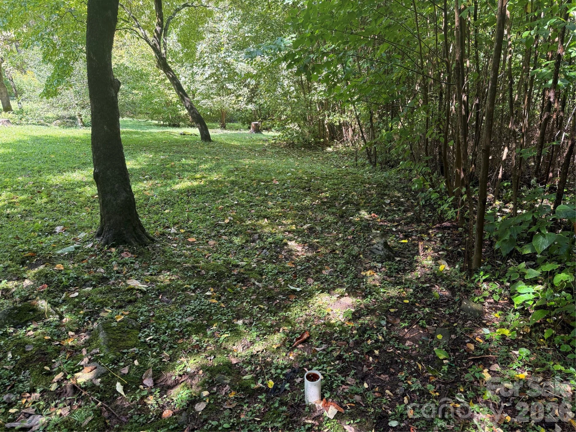 10 Lewis Lane #10 - Photo 17