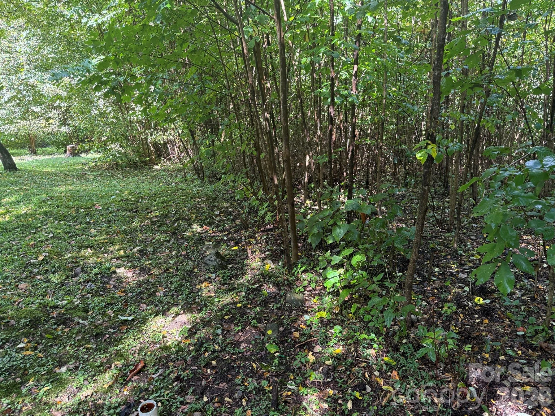 10 Lewis Lane #10 - Photo 18