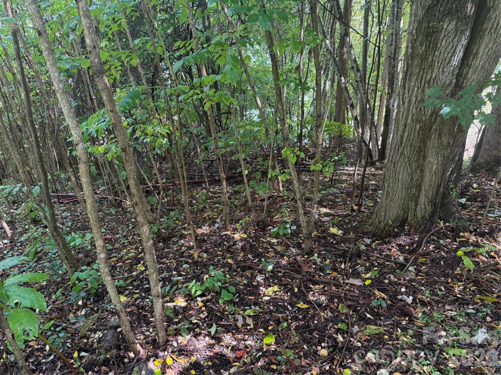 10 Lewis Lane #10 - Photo 21