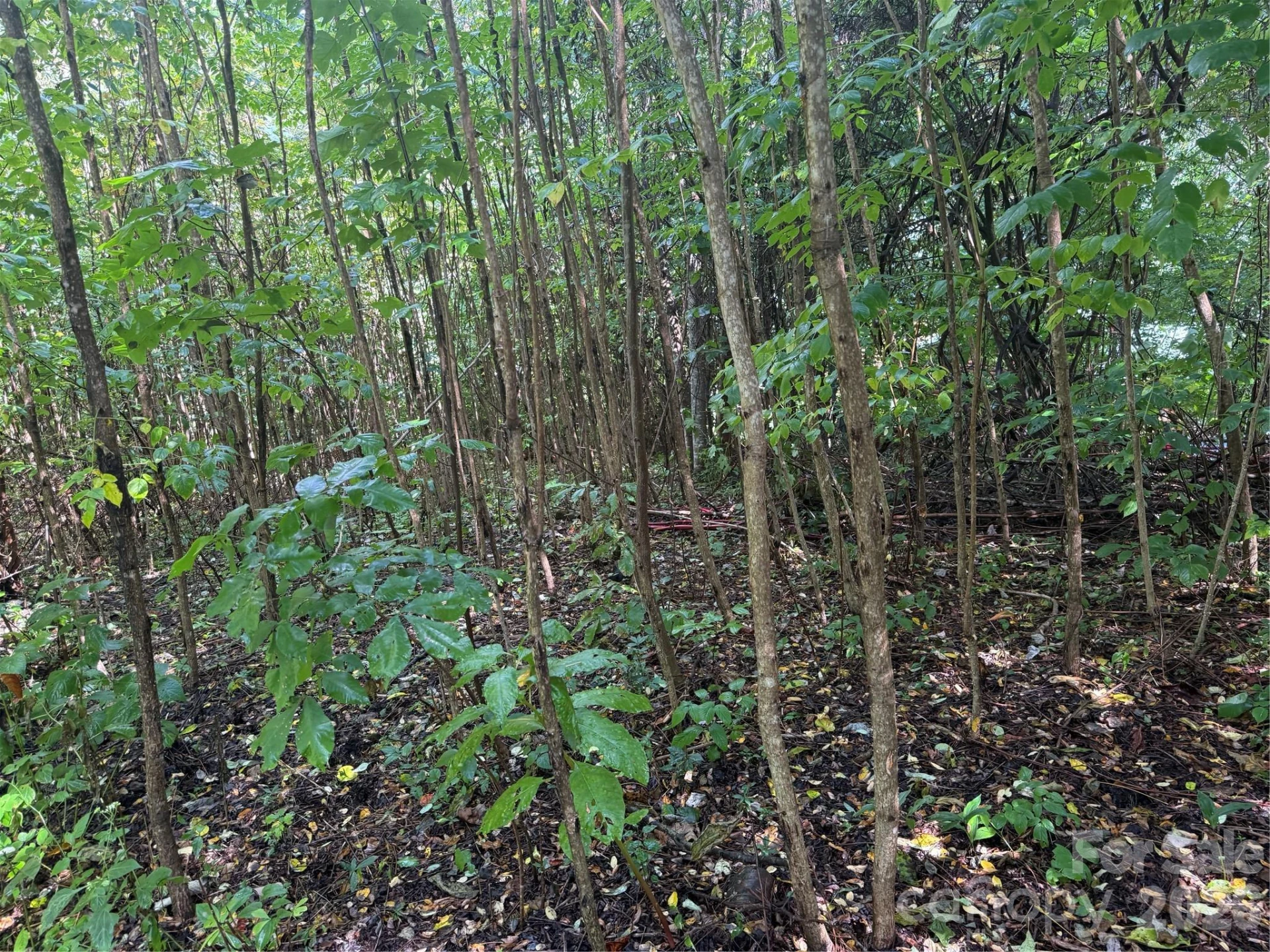 10 Lewis Lane #10 - Photo 23