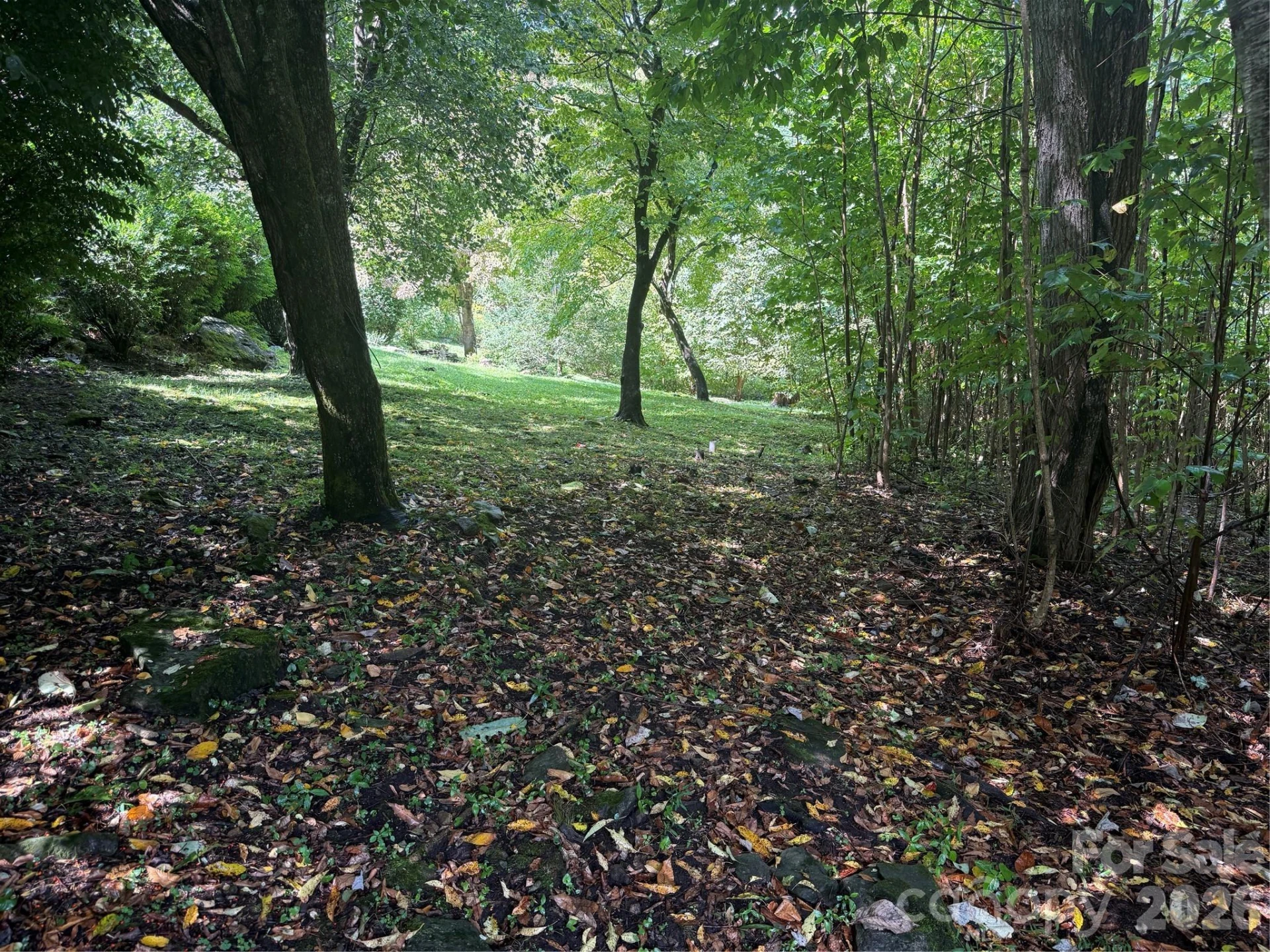 10 Lewis Lane #10 - Photo 14
