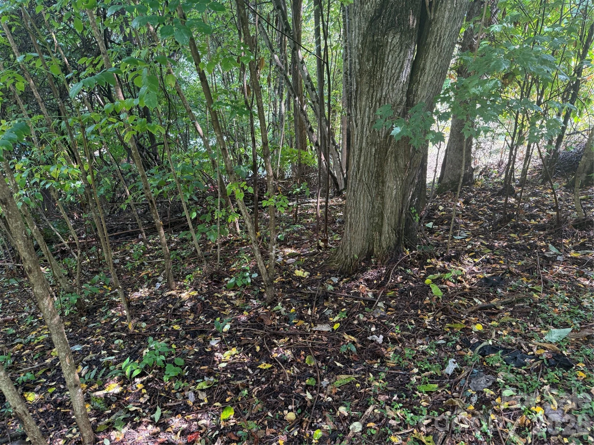 10 Lewis Lane #10 - Photo 23