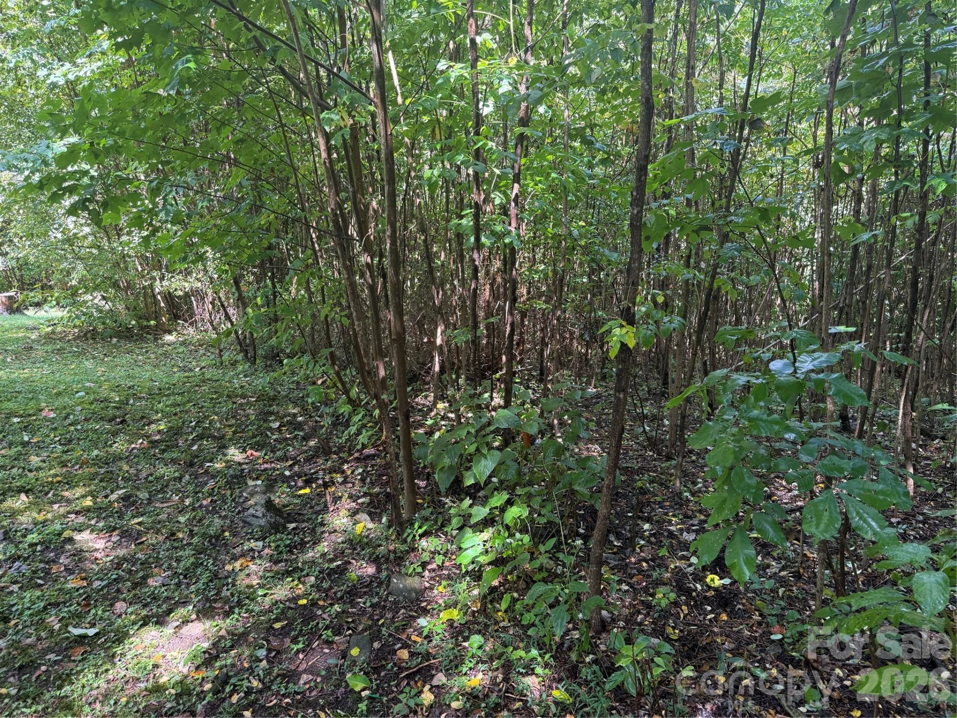 10 Lewis Lane #10 - Photo 25