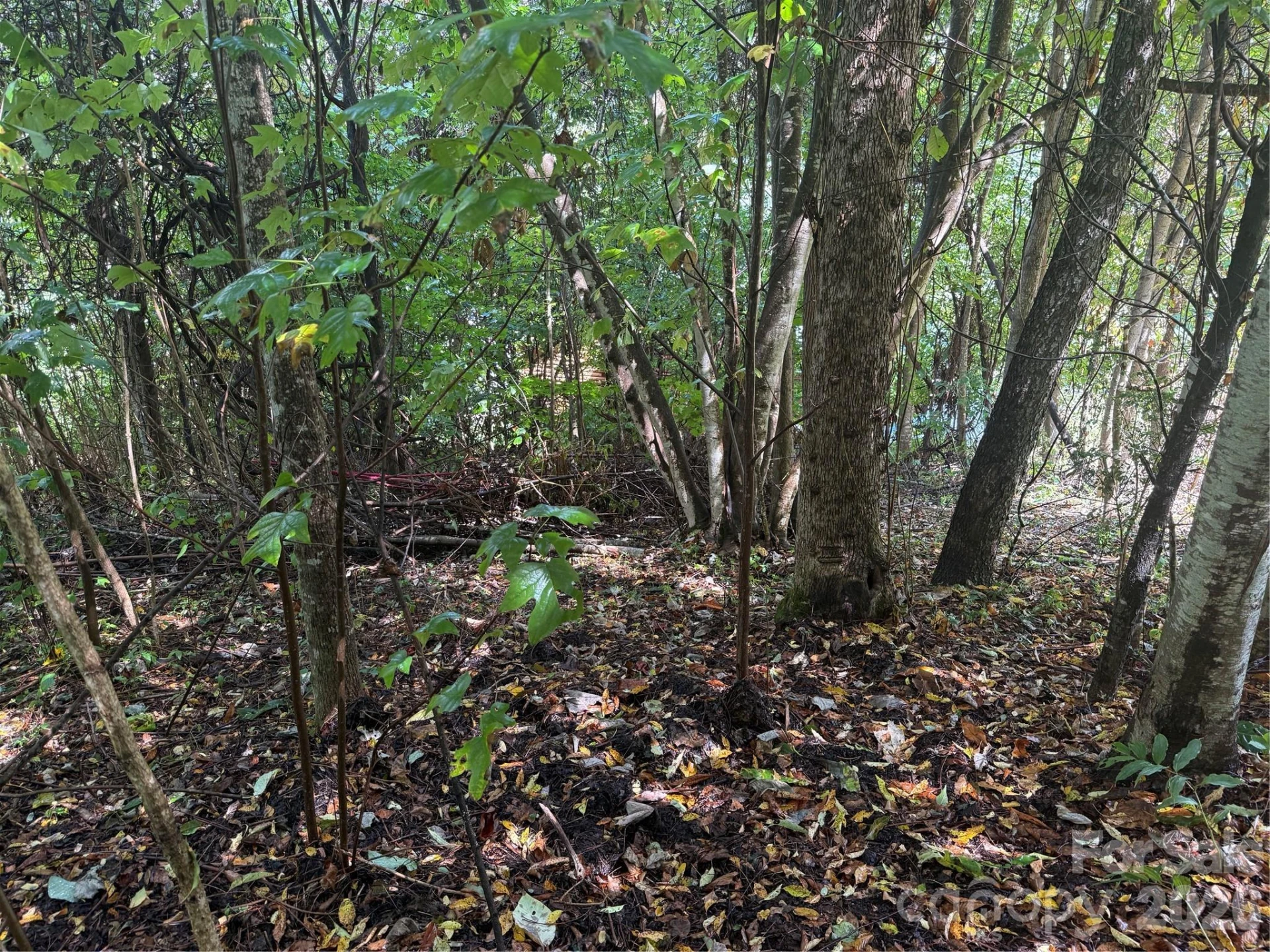 10 Lewis Lane #10 - Photo 26