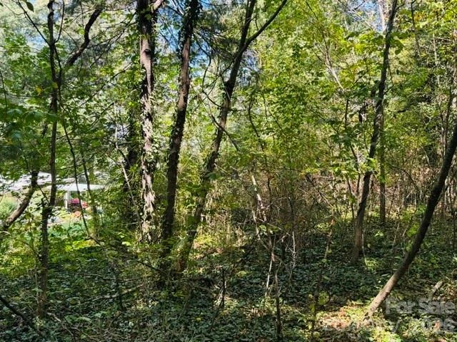 TBD Hi Alta Avenue - Photo 2