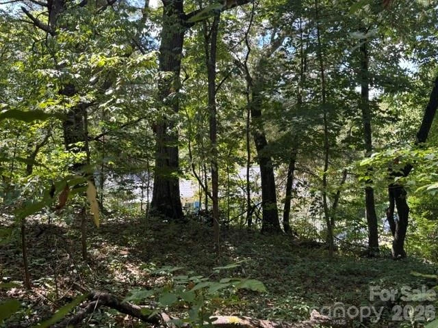 TBD Hi Alta Avenue - Photo 3