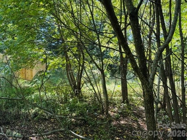 TBD Hi Alta Avenue - Photo 14