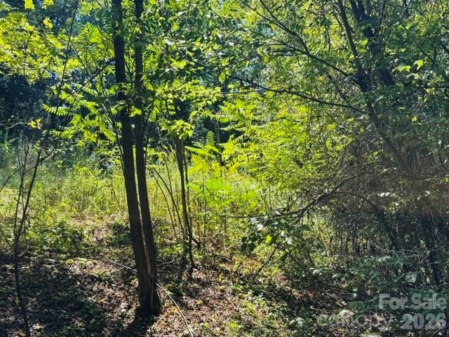 TBD Hi Alta Avenue - Photo 17