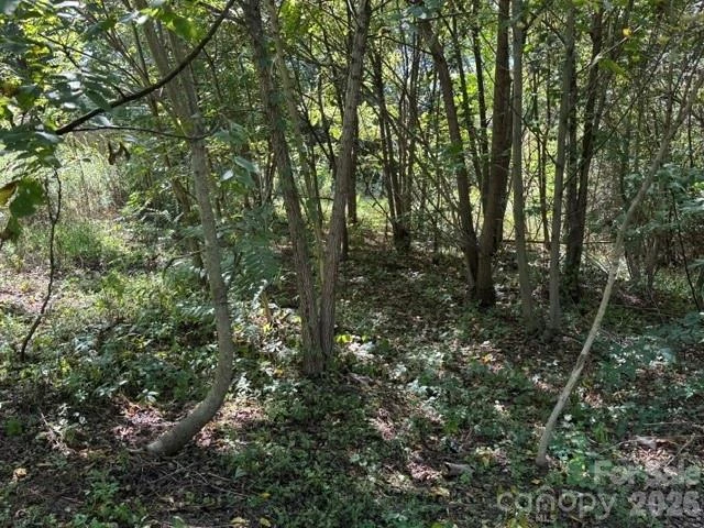 TBD Hi Alta Avenue - Photo 20