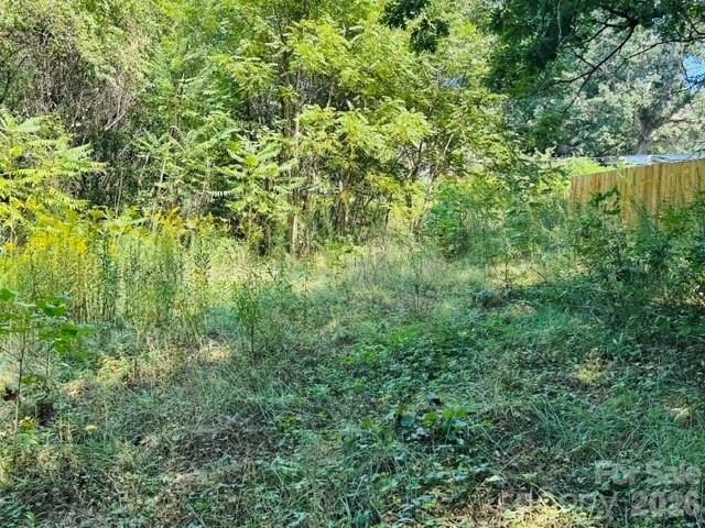 TBD Hi Alta Avenue - Photo 26