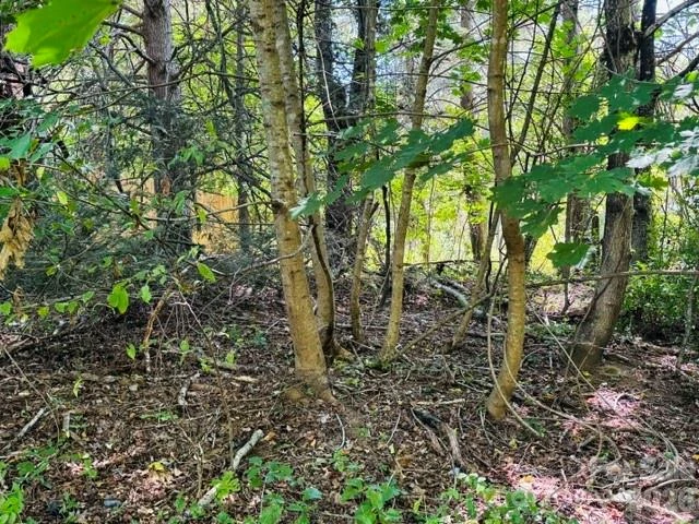 TBD Hi Alta Avenue - Photo 27
