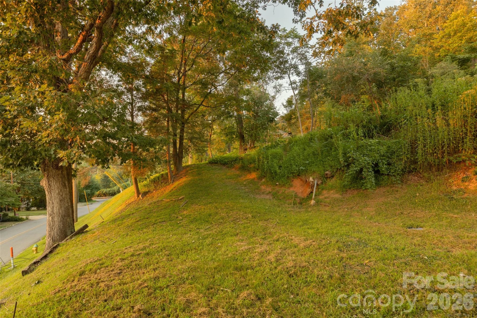 474 College Street - Photo 14