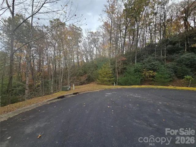 0 Shining Rock Path