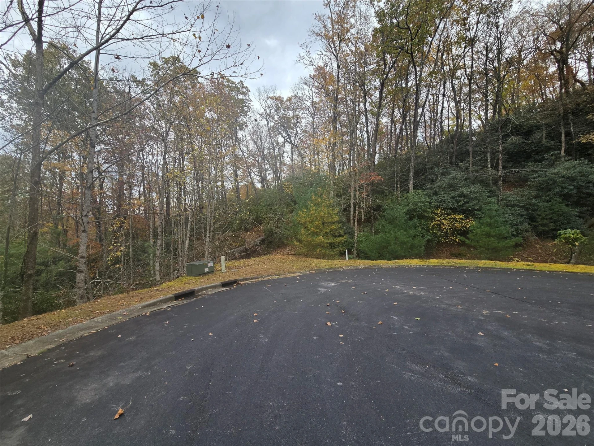 0 Shining Rock Path #17R