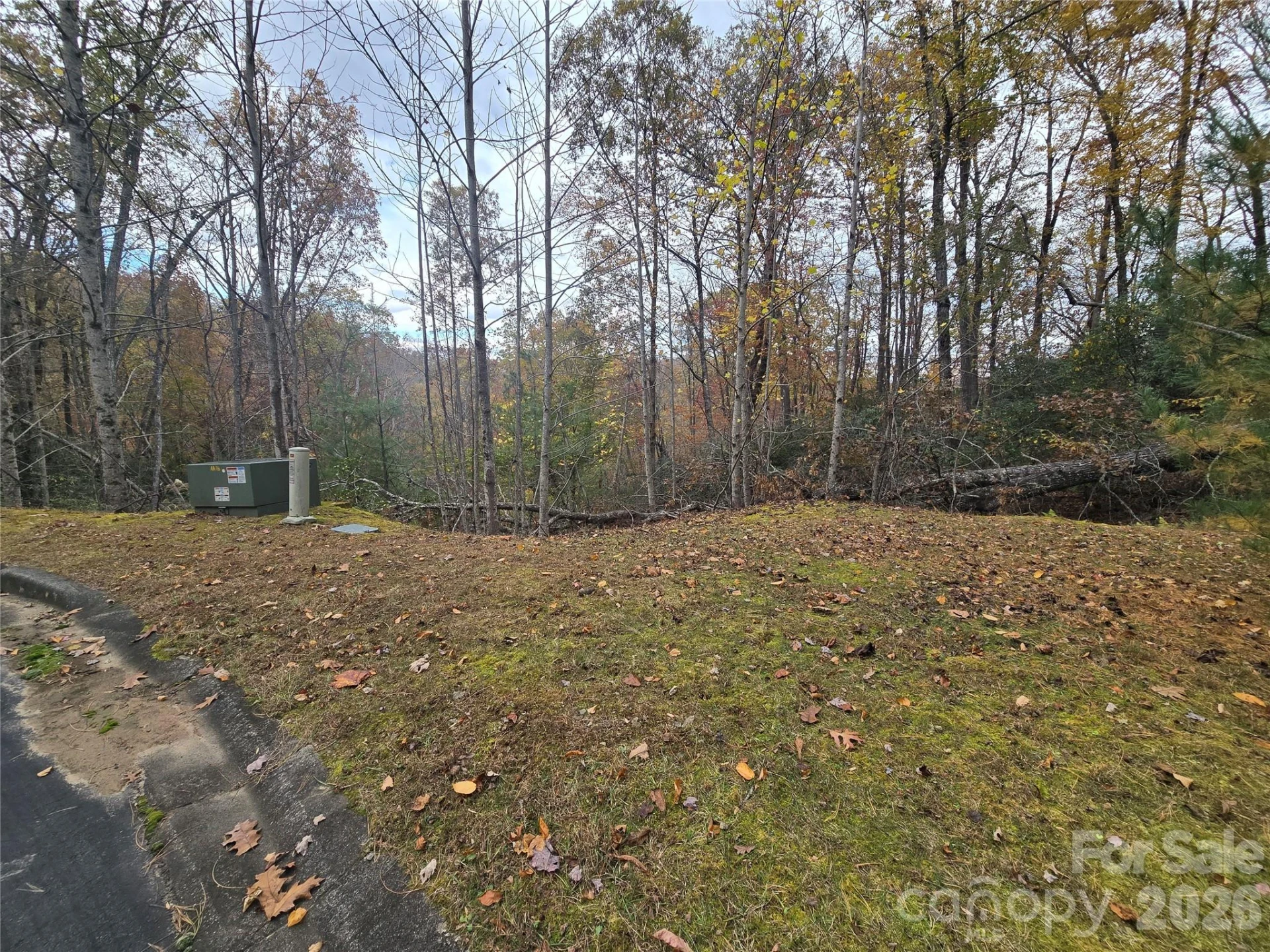 0 Shining Rock Path #17R - Photo 2