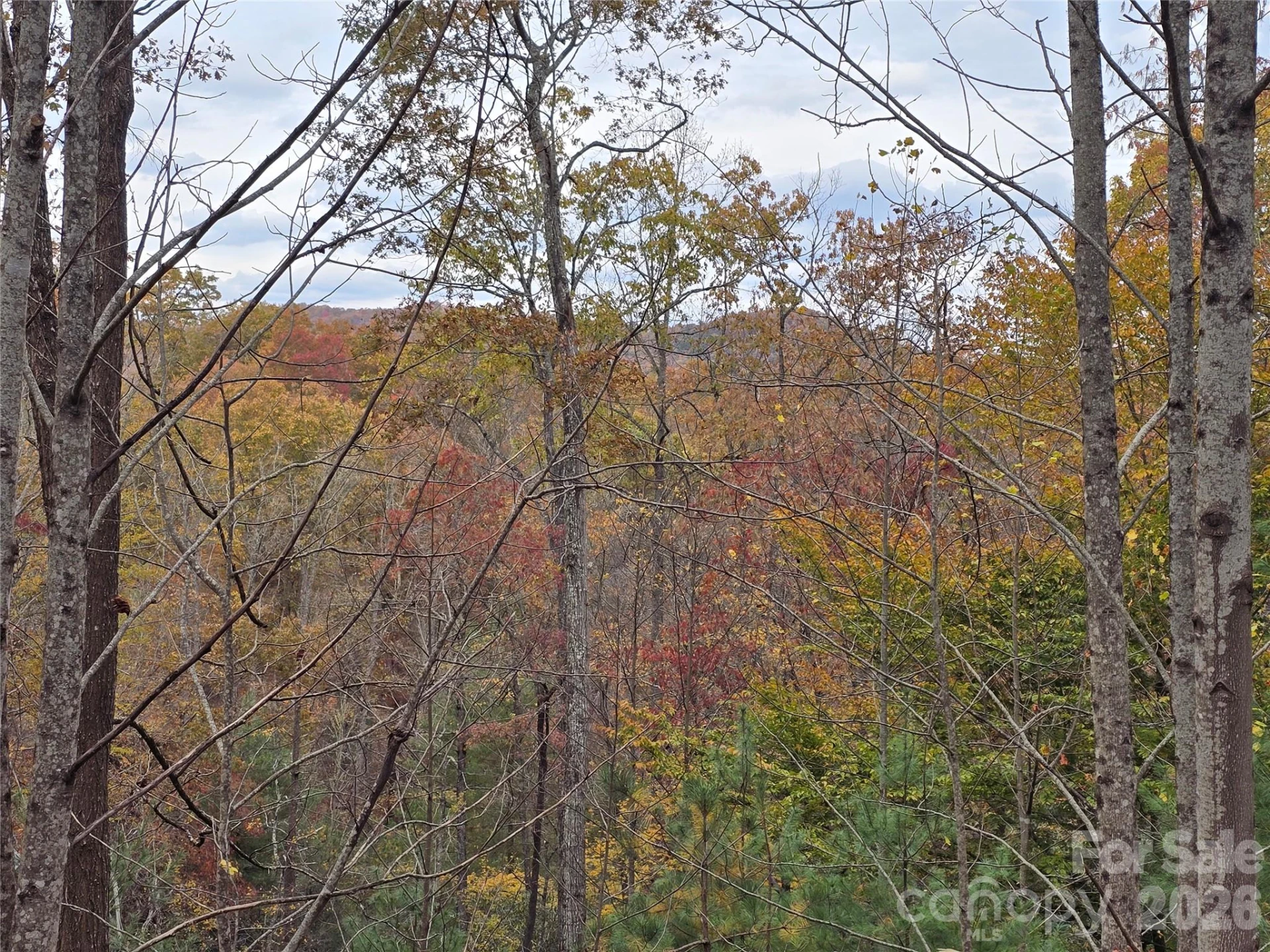 0 Shining Rock Path #17R - Photo 3