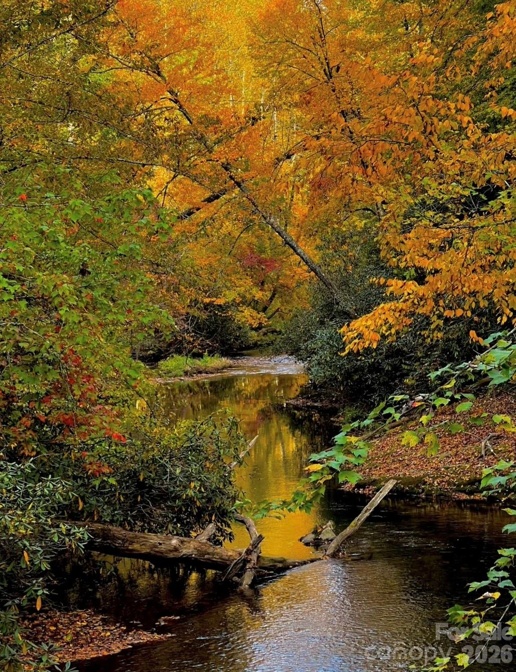 0 Shining Rock Path #17R - Photo 7