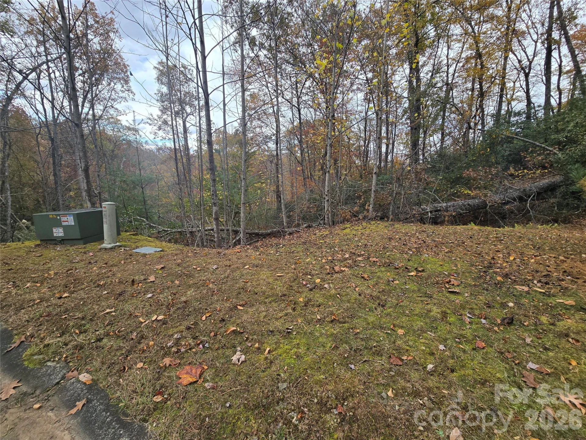0 Shining Rock Path #17R - Photo 9