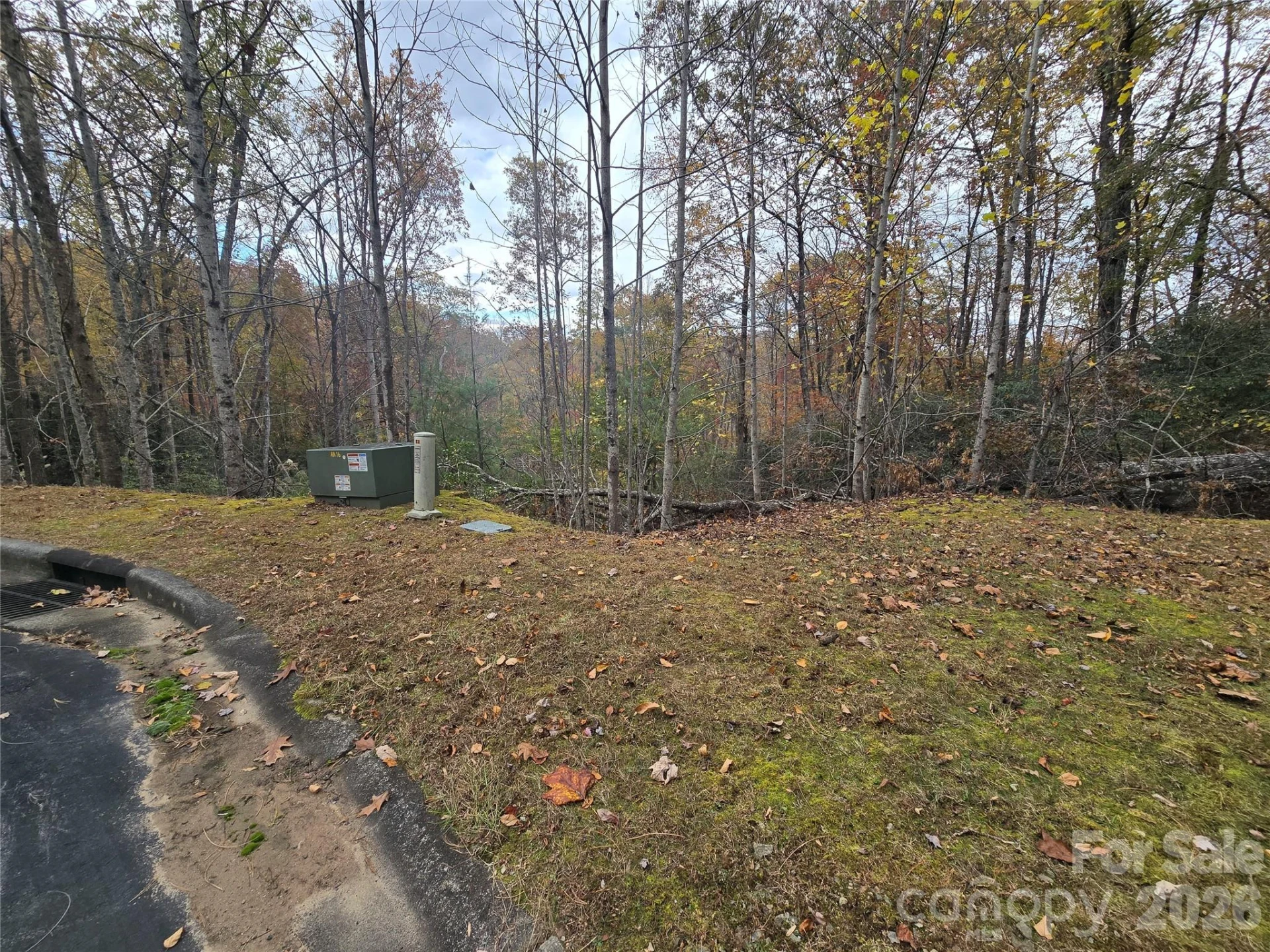 0 Shining Rock Path #17R - Photo 10