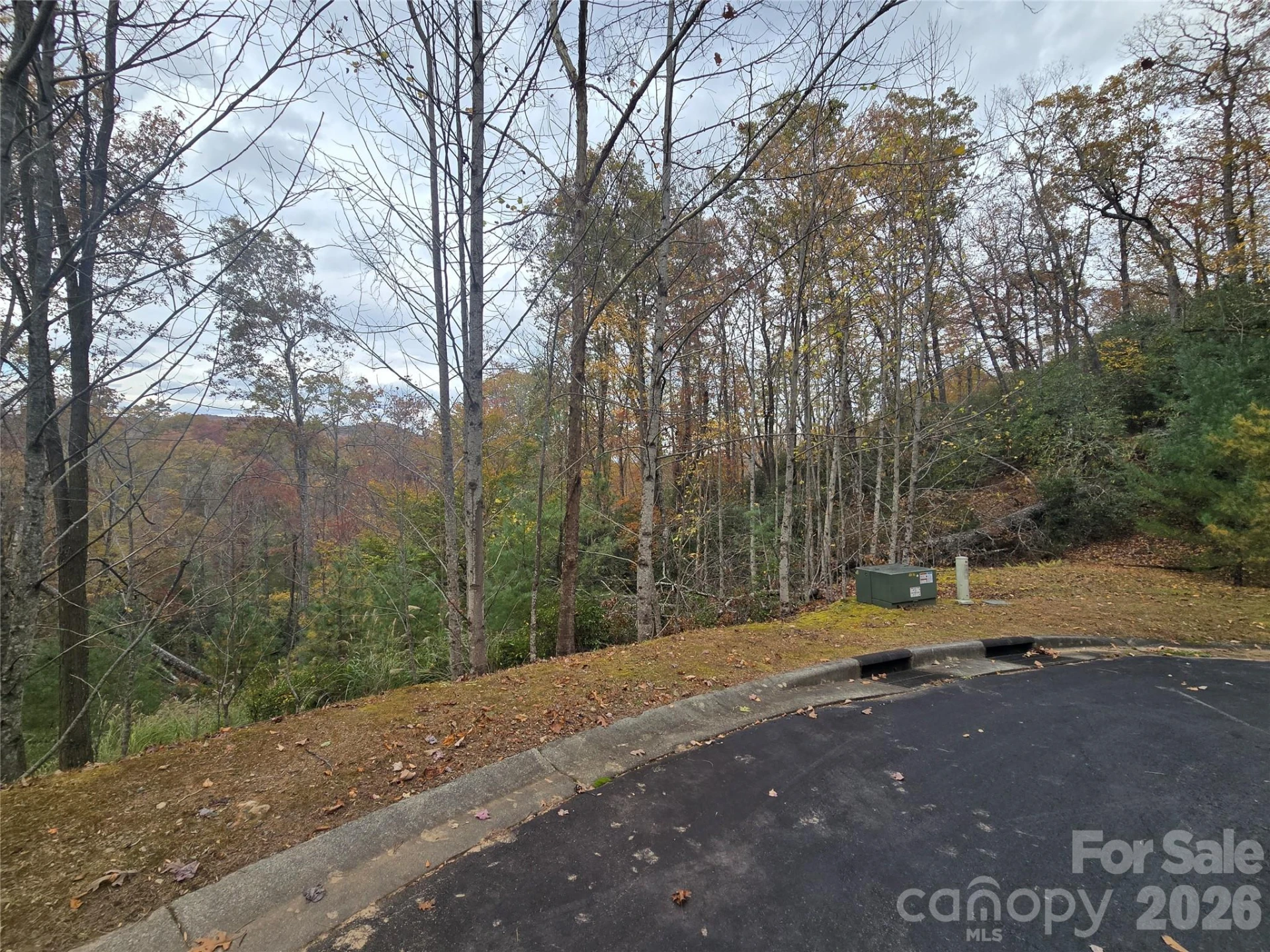 0 Shining Rock Path #17R - Photo 11