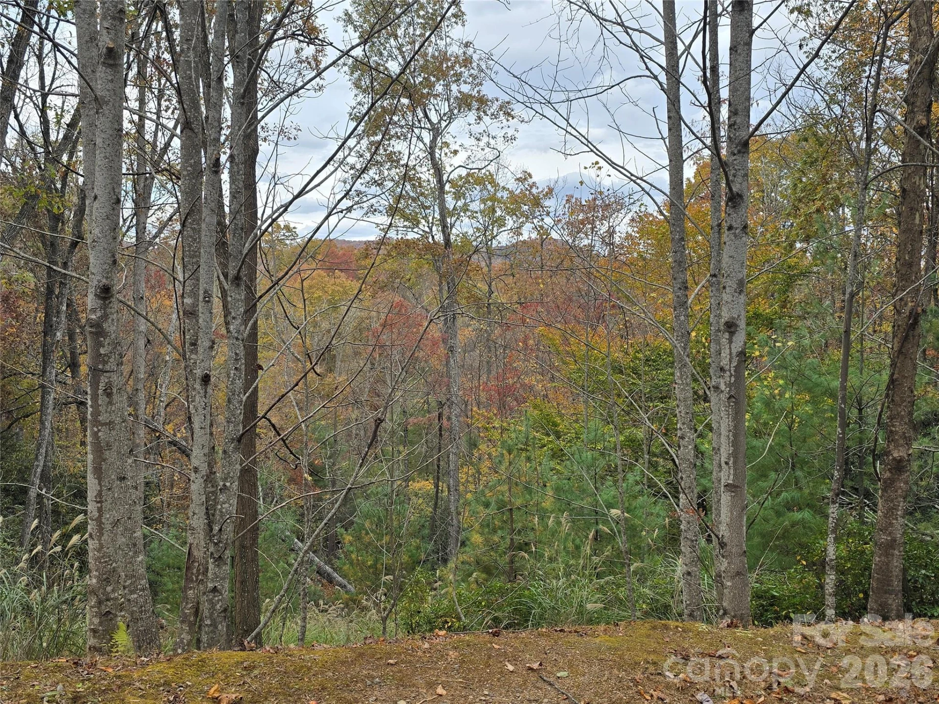 0 Shining Rock Path #17R - Photo 12