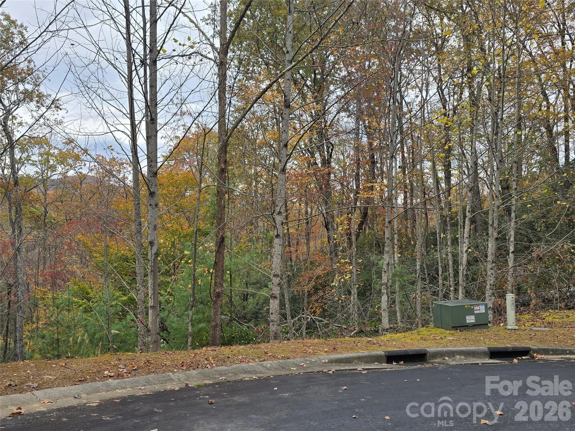 0 Shining Rock Path #17R - Photo 13