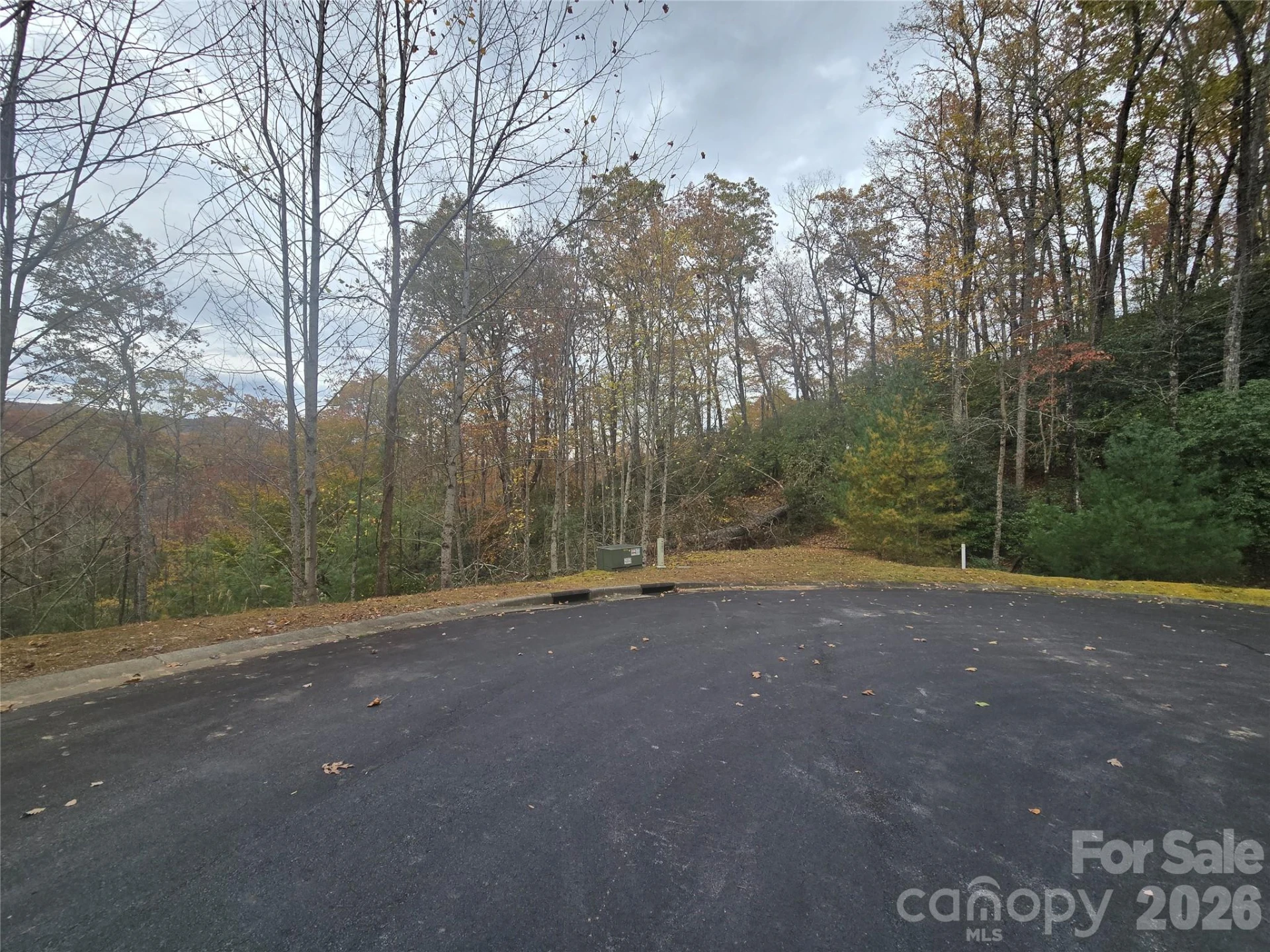 0 Shining Rock Path #17R - Photo 14
