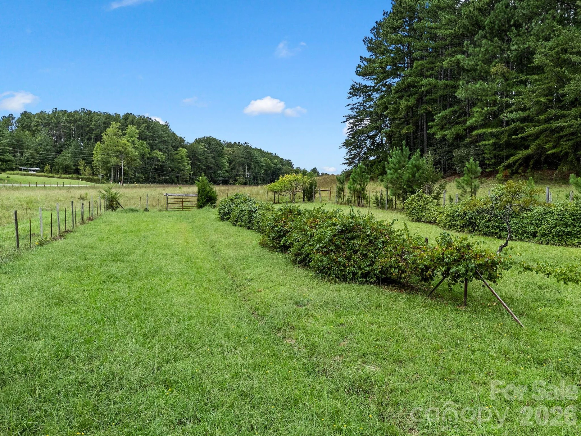 1164 Garrett Road - Photo 33
