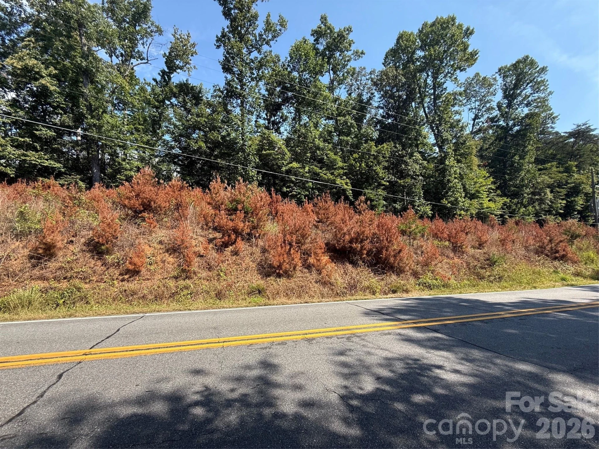 00 Old Fort Sugar Hill Road - Photo 2