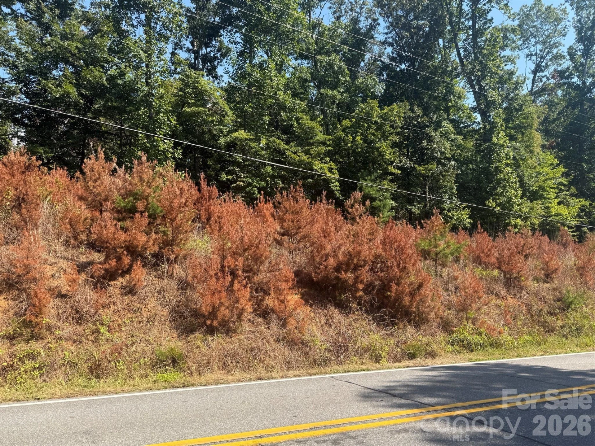 00 Old Fort Sugar Hill Road - Photo 3