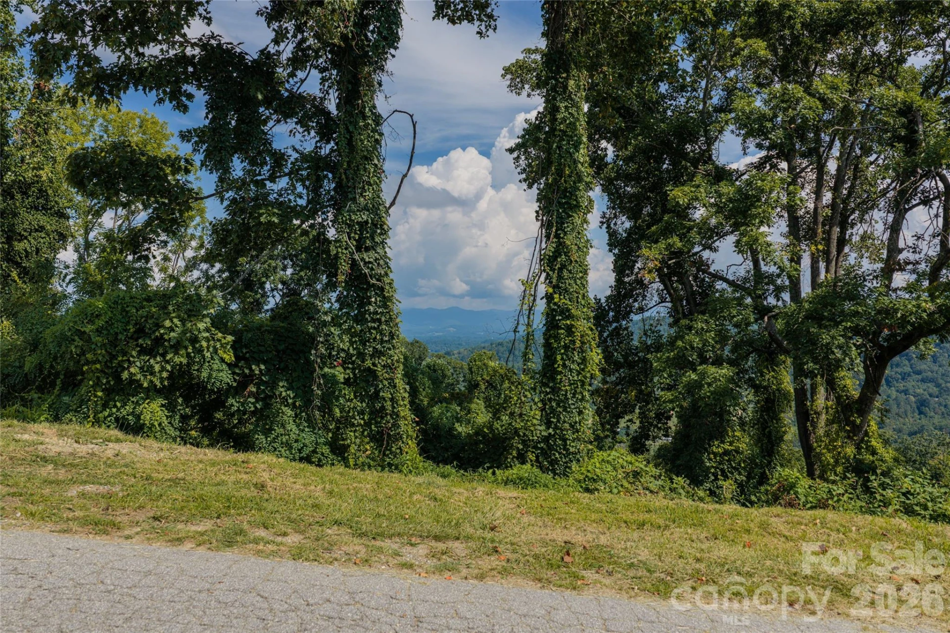 44 Longstreet Court #5 - Photo 2